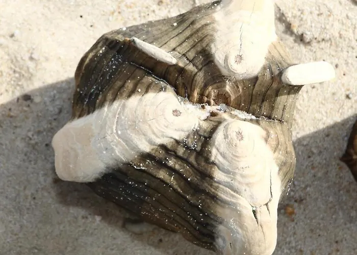 Appartement Appartement-morgenroth